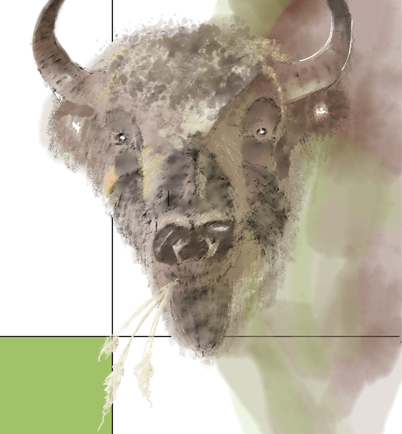 A watercolor image of a bison
