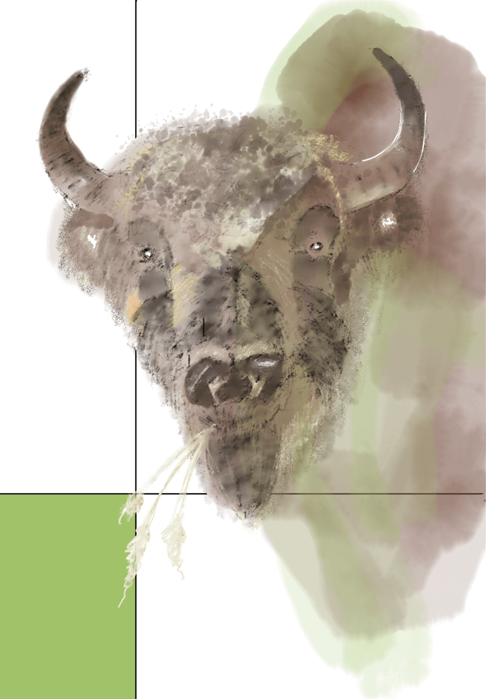 A watercolor image of a bison